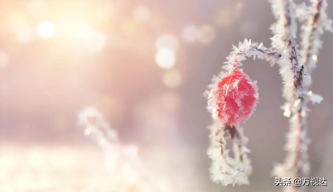 接触新冠患者寄的快递,接触物品感染新冠的概率