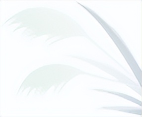 今日白露养生,今日白露节气