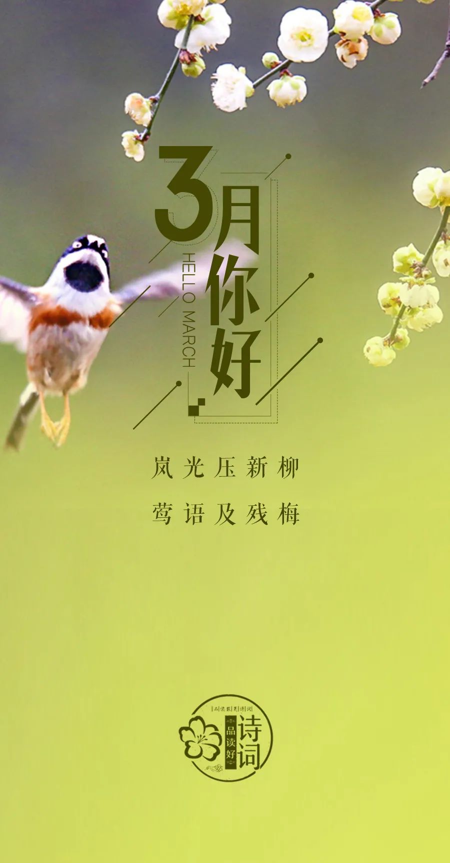 描写三月春天的诗句和优美句子,关于描写三月春暖花开的诗句