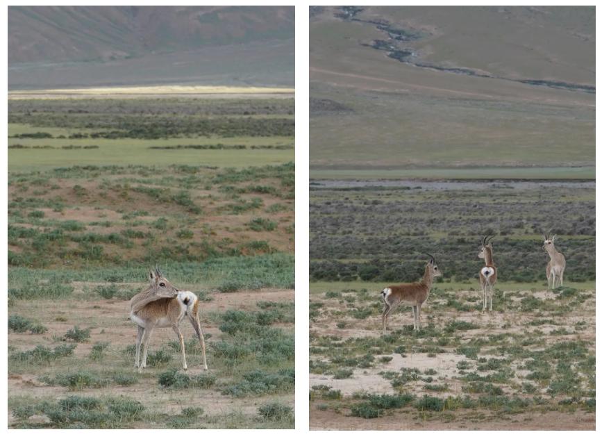 避开人潮的最佳角落,避开人潮打卡的地方