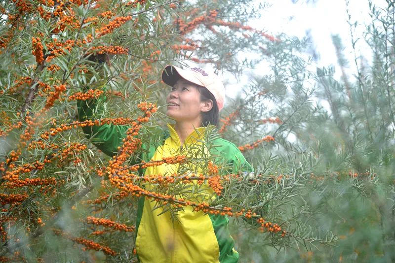 镜头里的故事电视剧,镜头里的故事完整版