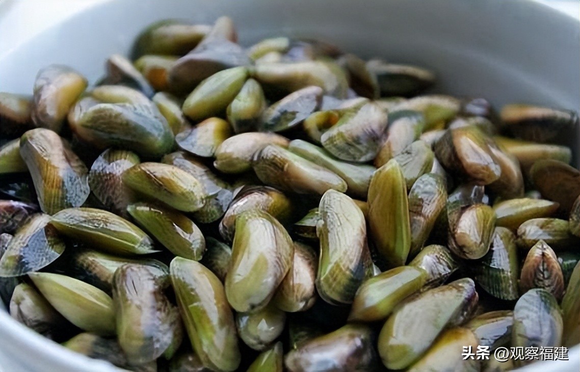 诏安秋天吃什么海鲜,福建各种海鲜图片大全