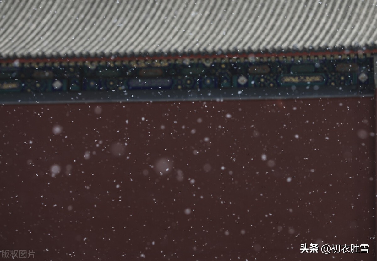 杨花古诗句,最美杨花古诗词句摘抄