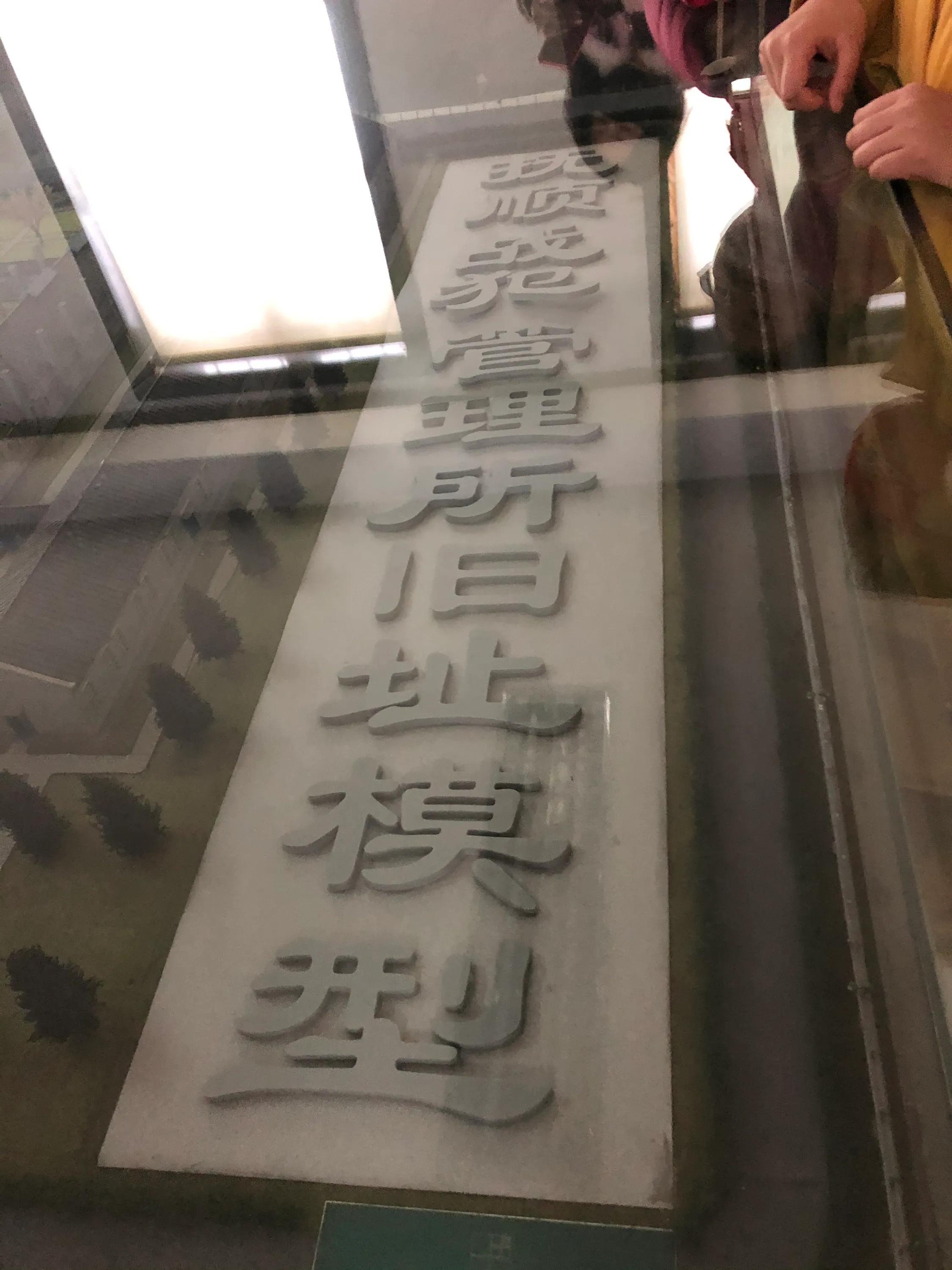 清朝皇帝溥仪的悲惨一生真实,清朝皇帝溥仪传奇人生