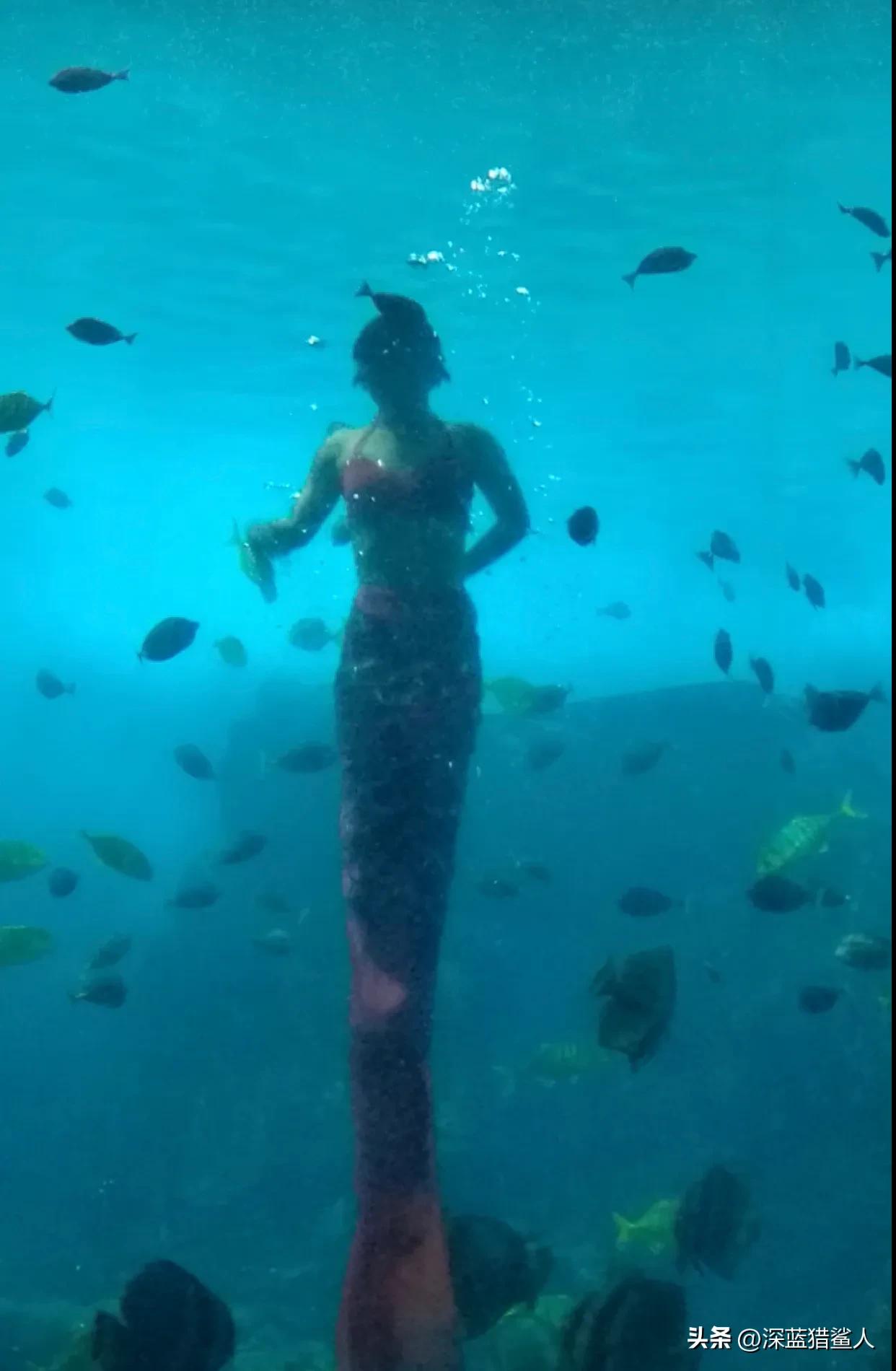 现在的广州动物园人山人海,近期广州动物园今天人多吗