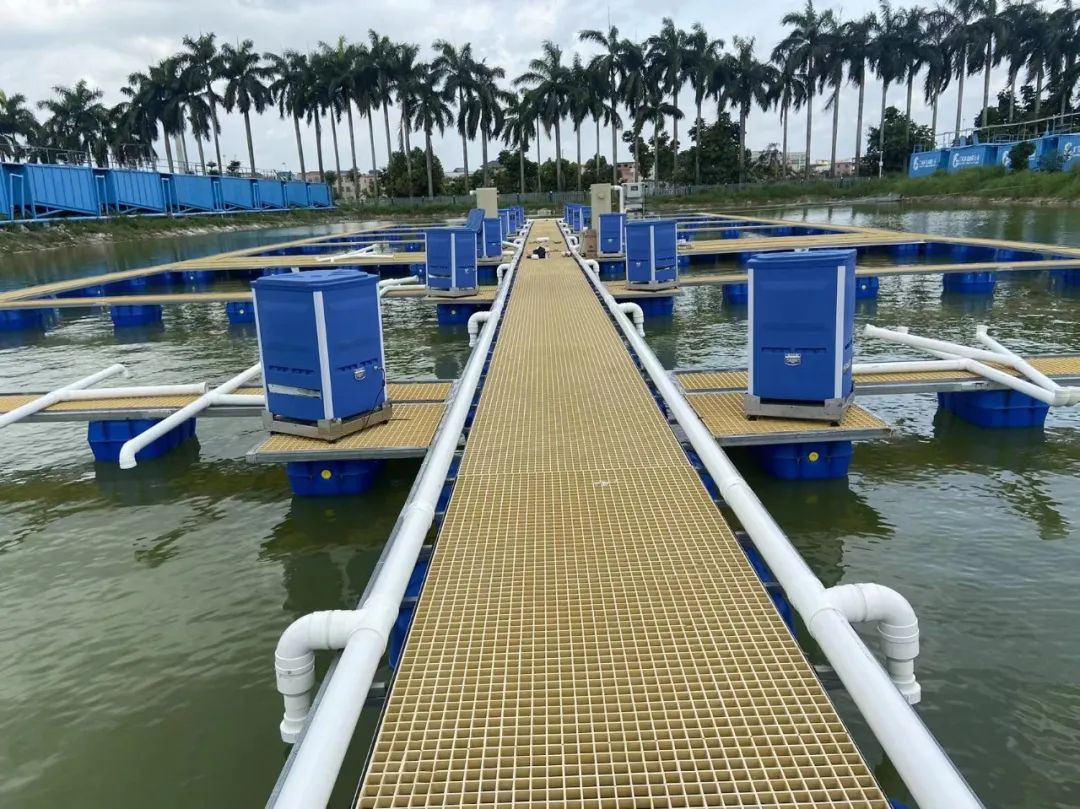 内循环环形跑道或圆形跑道养鱼,养鱼养殖场利润模式