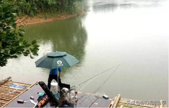 夏季野钓，雨天就是“爆护天”！但有“3不钓”，否则空军已注定