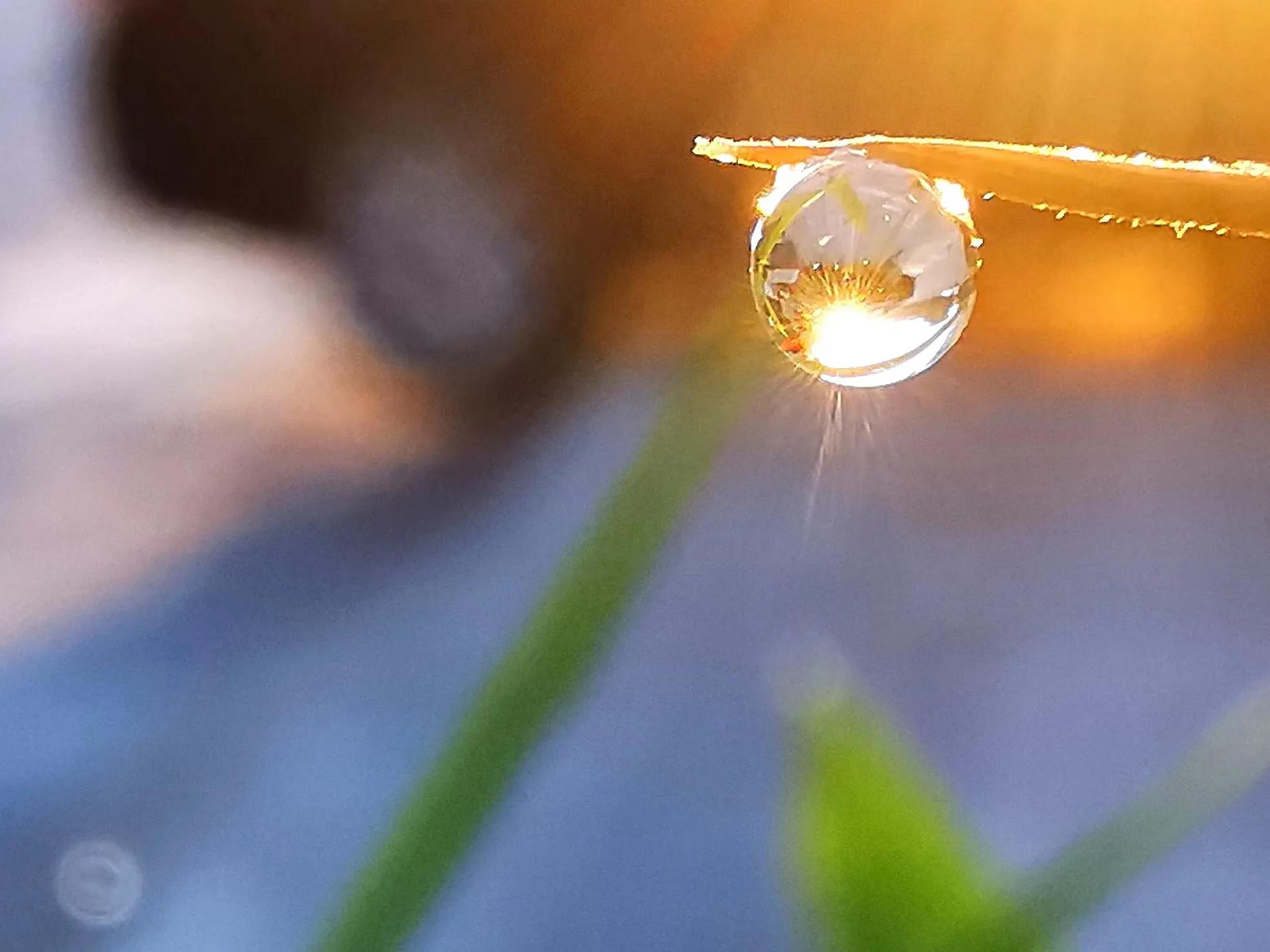 手拍世界手机摄影平台,手拍世界摄影网