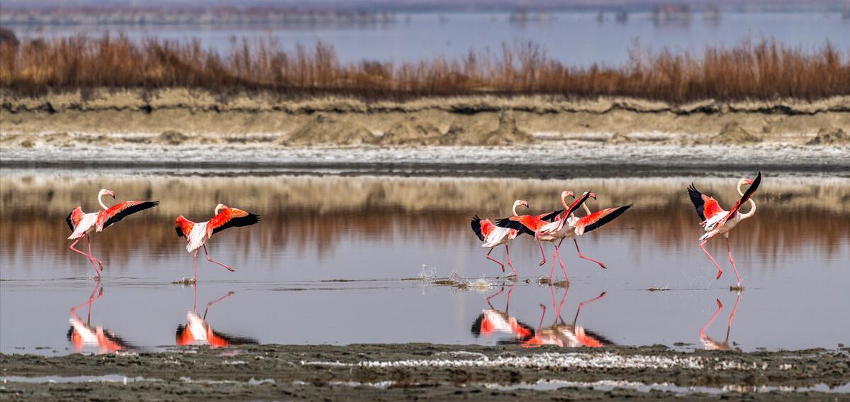 中国死海运城盐湖多大面积,中国死海运城盐湖图片