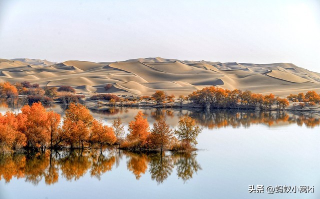 世界五大沙漠,内蒙古九大草原五大沙漠