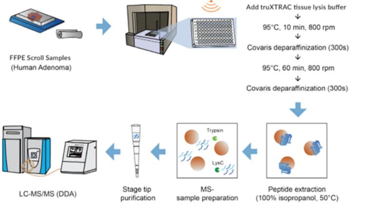 石蜡切片和防脱切片,石蜡包埋组织可以提取rna吗