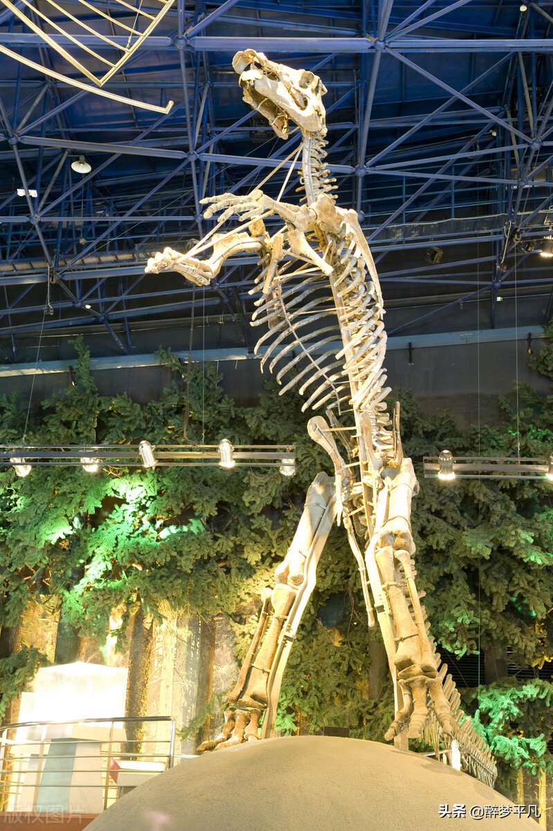 常州环球恐龙城是5a吗,常州环球恐龙城休闲度假区