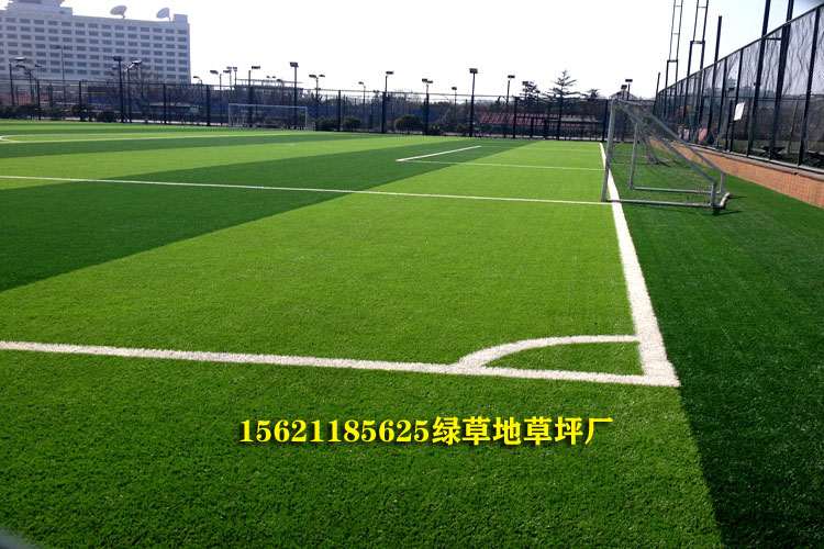 足球场专用草坪价格表,足球场草坪报价多少钱一平米