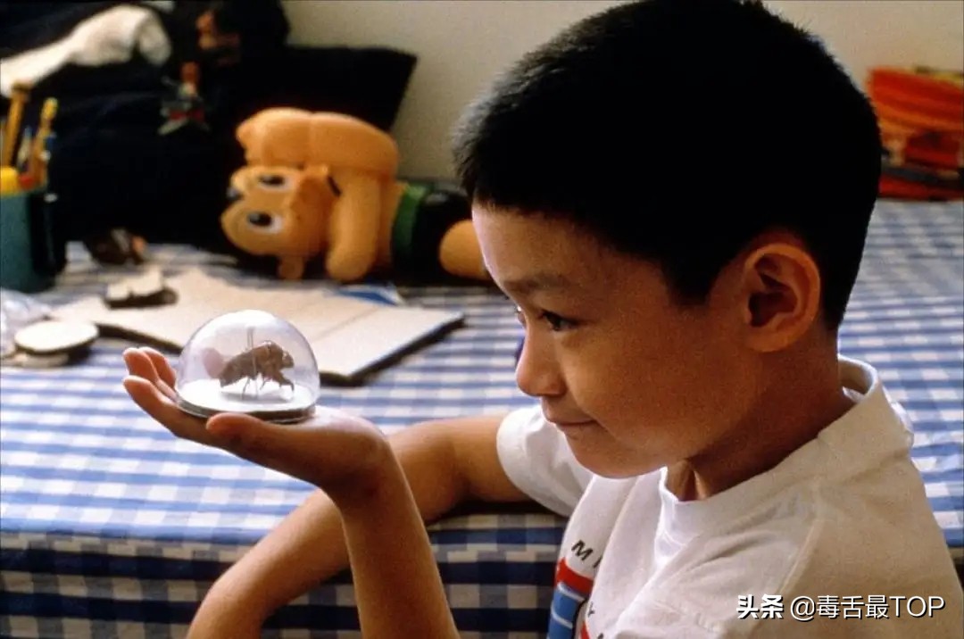 近20年评分最高的十部电影推荐,10部值得一看的经典高分电影推荐