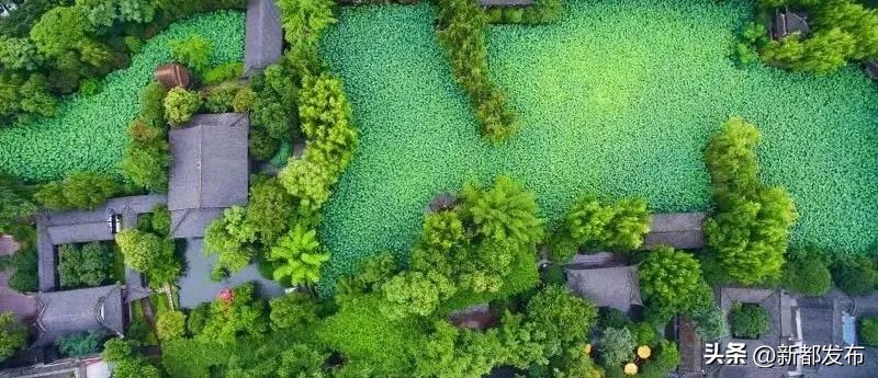 新都，你有什么了不起？