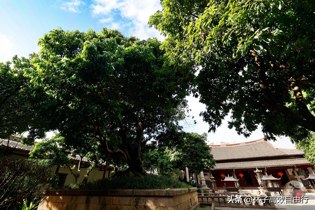 福州最新玩法,福州市区游玩攻略