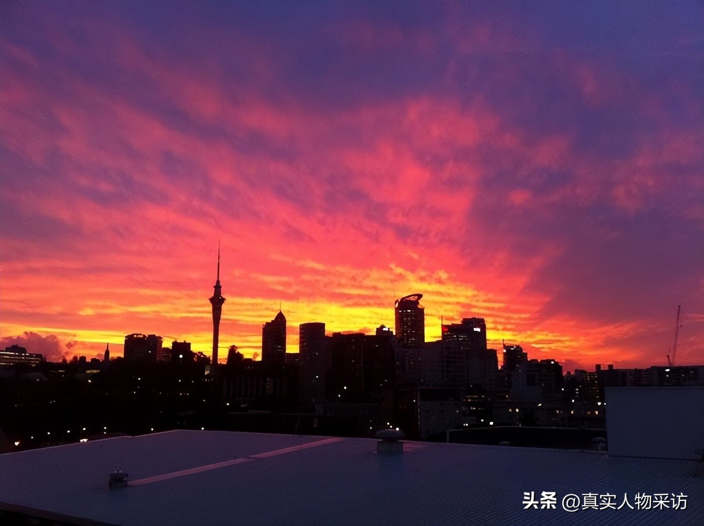 留学新西兰的真实情况,我的冰岛留学经历