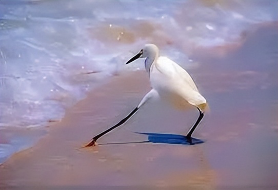 20万开店日营业额仅79元创业失败,20万投资实体店生意惨淡