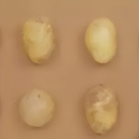 食疗护眼选择食物让你的眼睛更亮,强烈推荐10种护眼食物