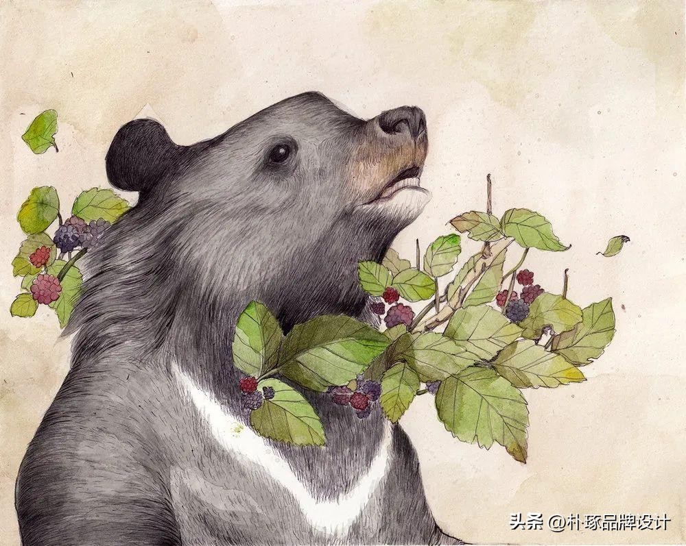 有深度意境的插画,如此清新淡雅的插画太有美感了