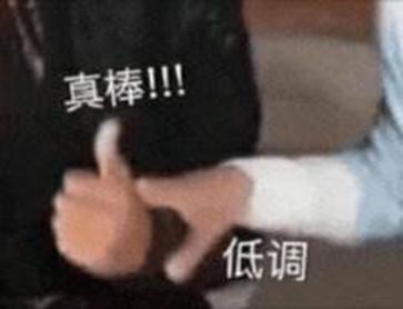 鏈夌嚎mesh缁勭綉涓轰粈涔堜細ip鍐茬獊,澶氳矾鐢卞櫒缁勭綉ip鍐茬獊