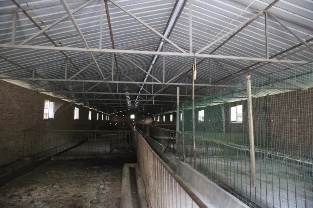 司法拍卖的房子能买吗,司法拍卖网