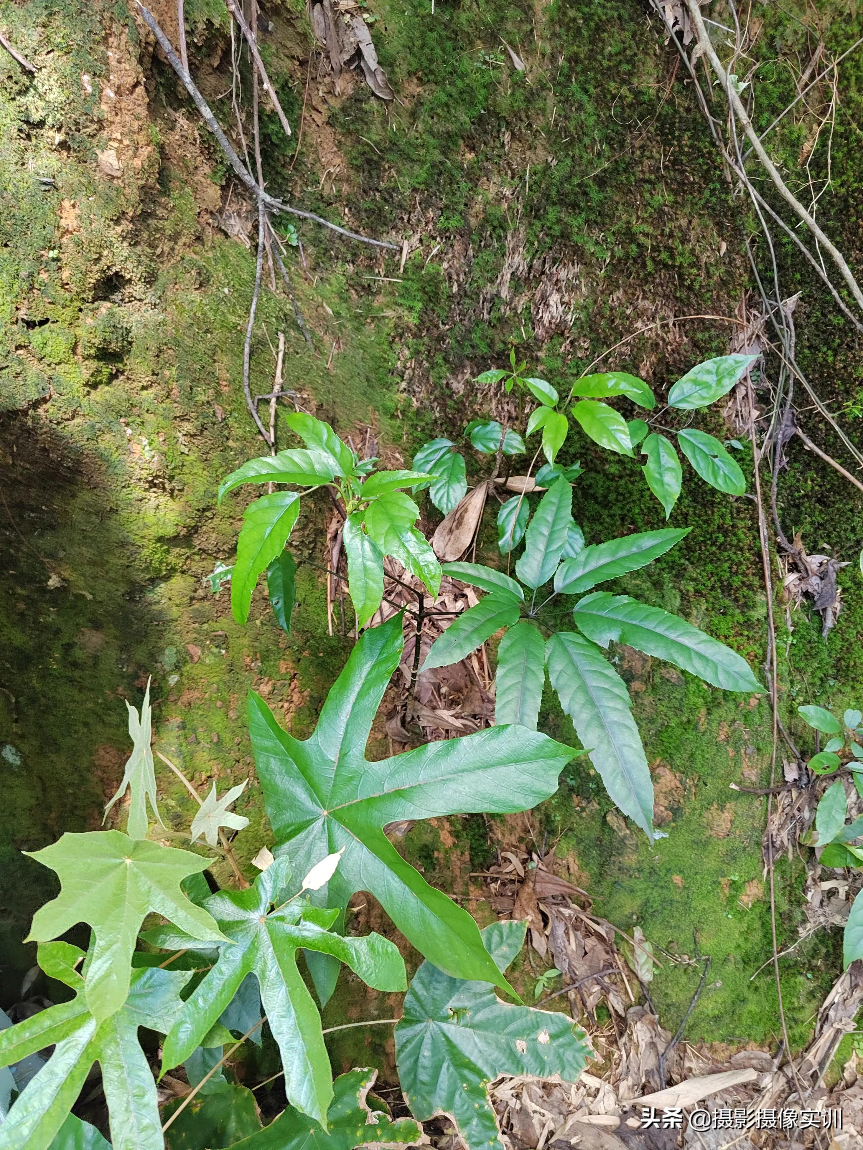 万绿湖坐船门票,万绿湖免门票