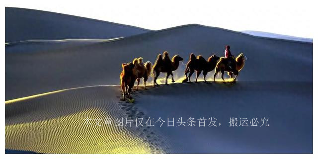 独居百岁老人的故事,独居老人的故事