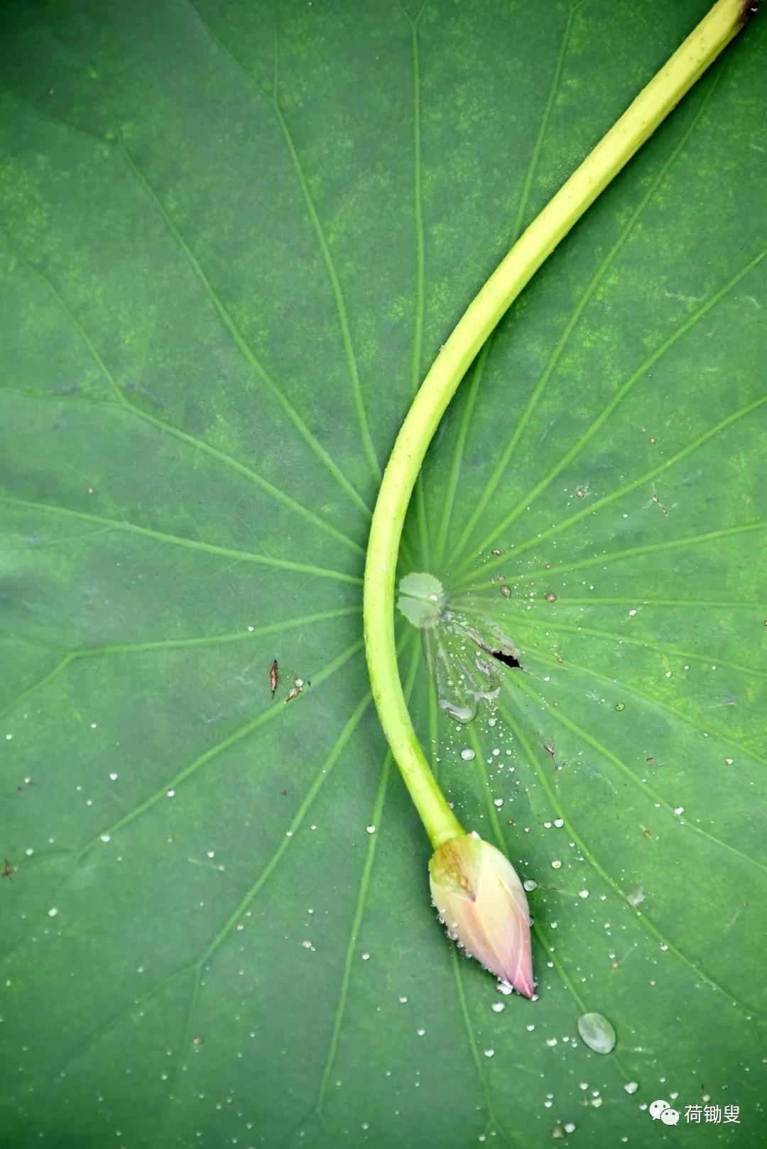 一泓清水入黄河工程,一泓清水入黄河项目清单