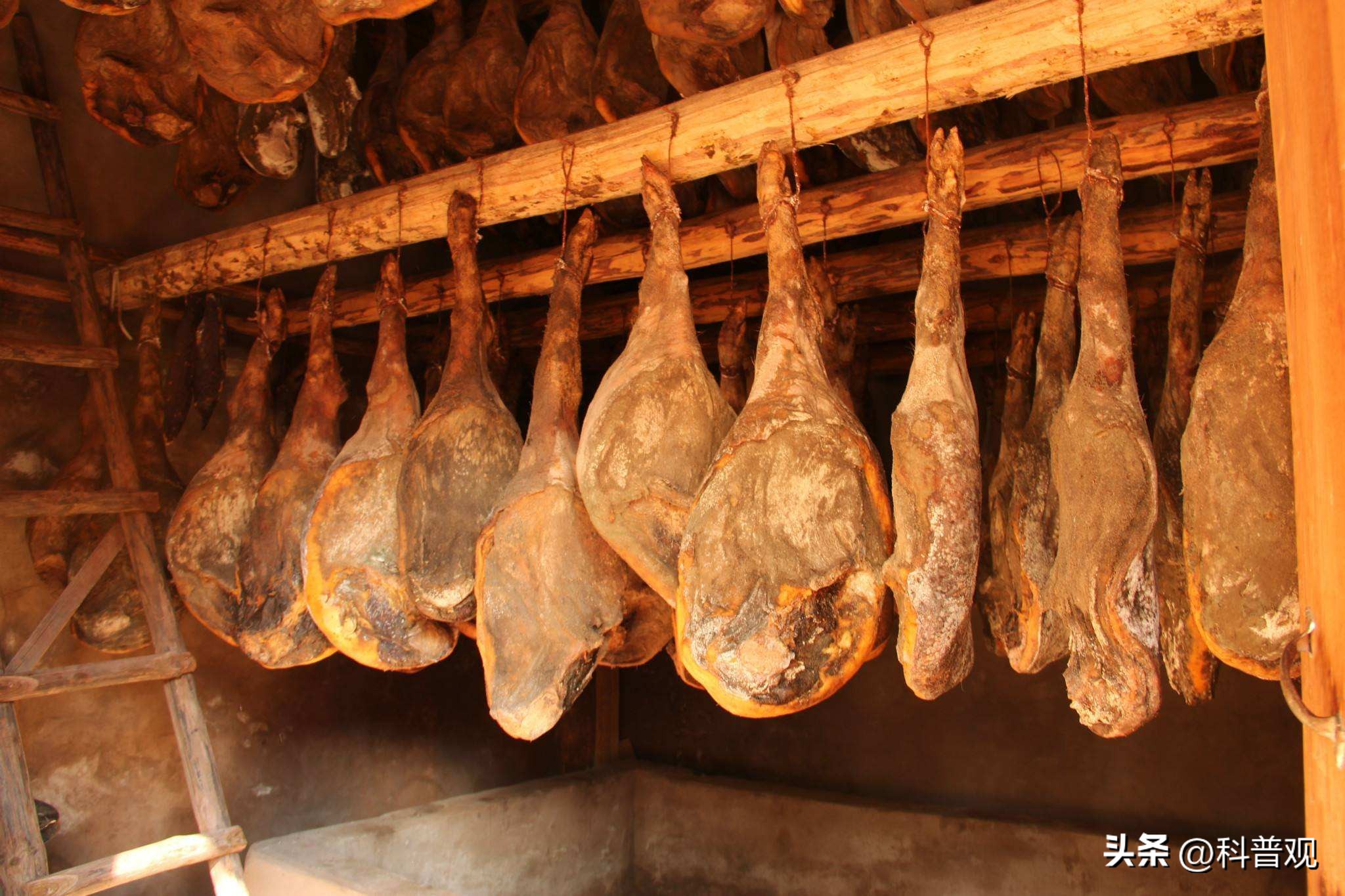 四川臭猪肉悬挂房梁30年,四川臭猪肉对人有什么危害