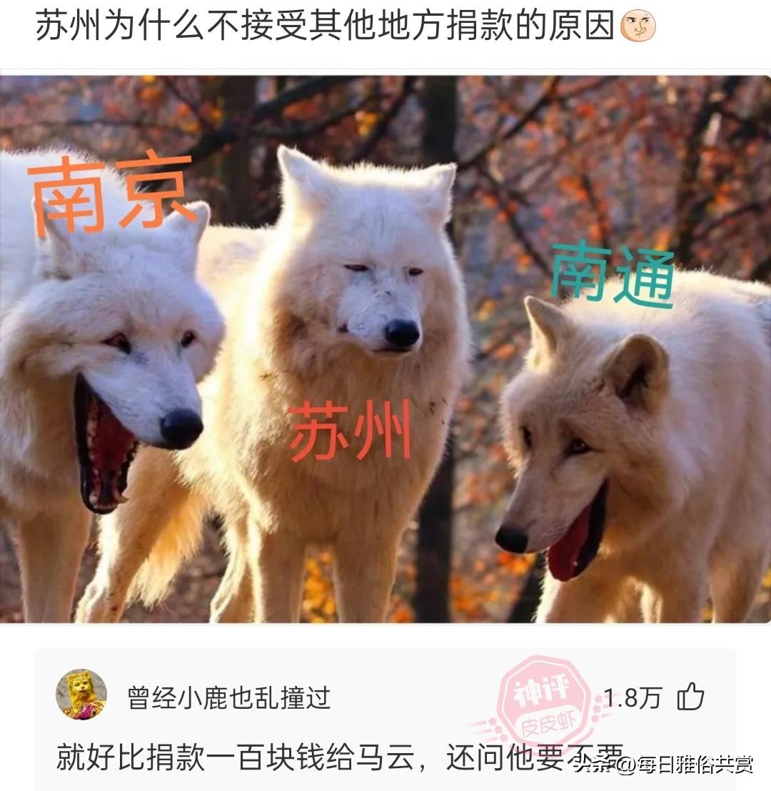 【盐选神回复】本人有幸被羊咬了，会变成什么样？