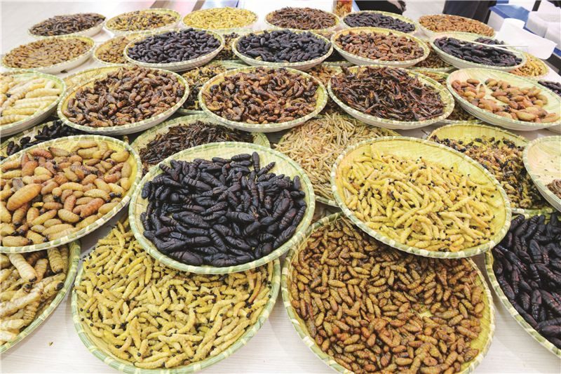 云食集美食,云食小吃