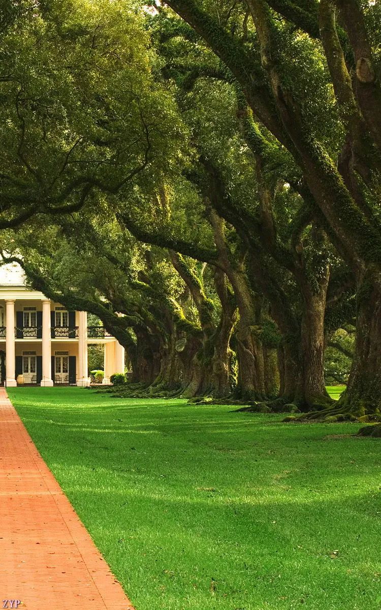 震撼眼球的绝美风景,世界震撼美景美图