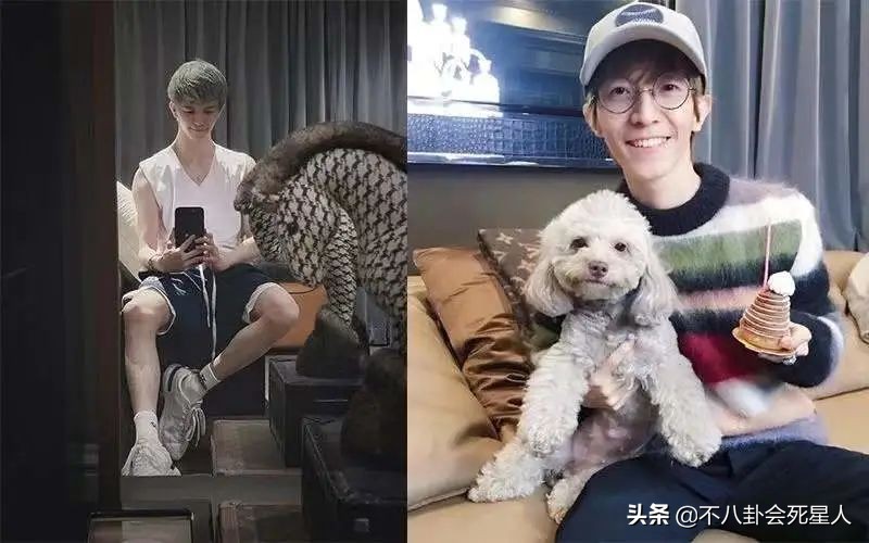 健身有效和健身无效的男演员,男明星无器械健身