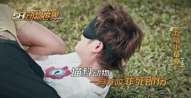 五哈猫鼠游戏哪一队赢了,熟人局可以玩什么