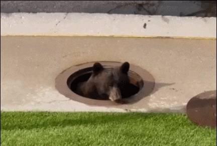 日军当着国军的面杀俘虏,日军侵华兽行