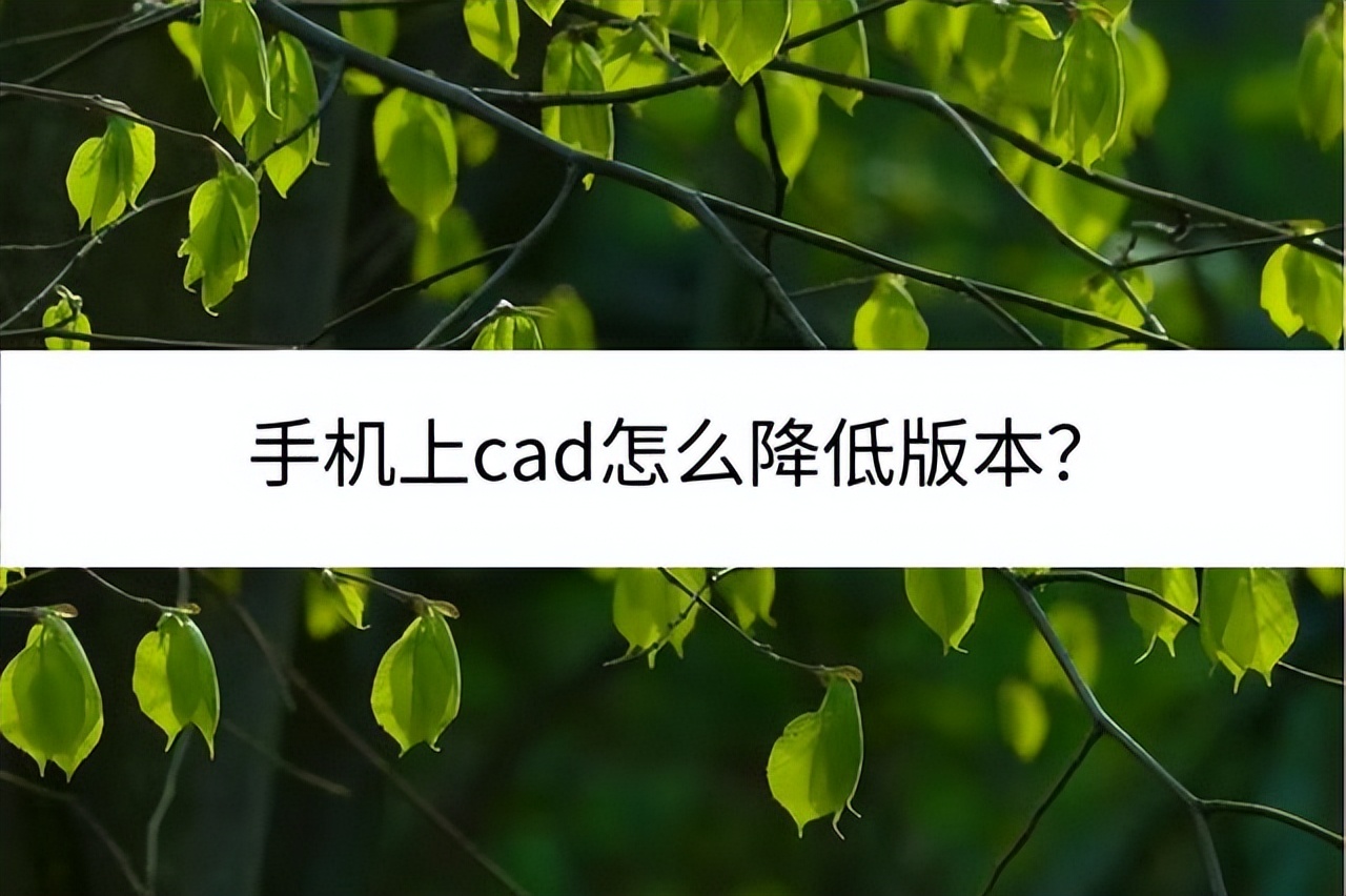 cad升级高版本需要卸载老版本吗,手机cad可以降低版本吗