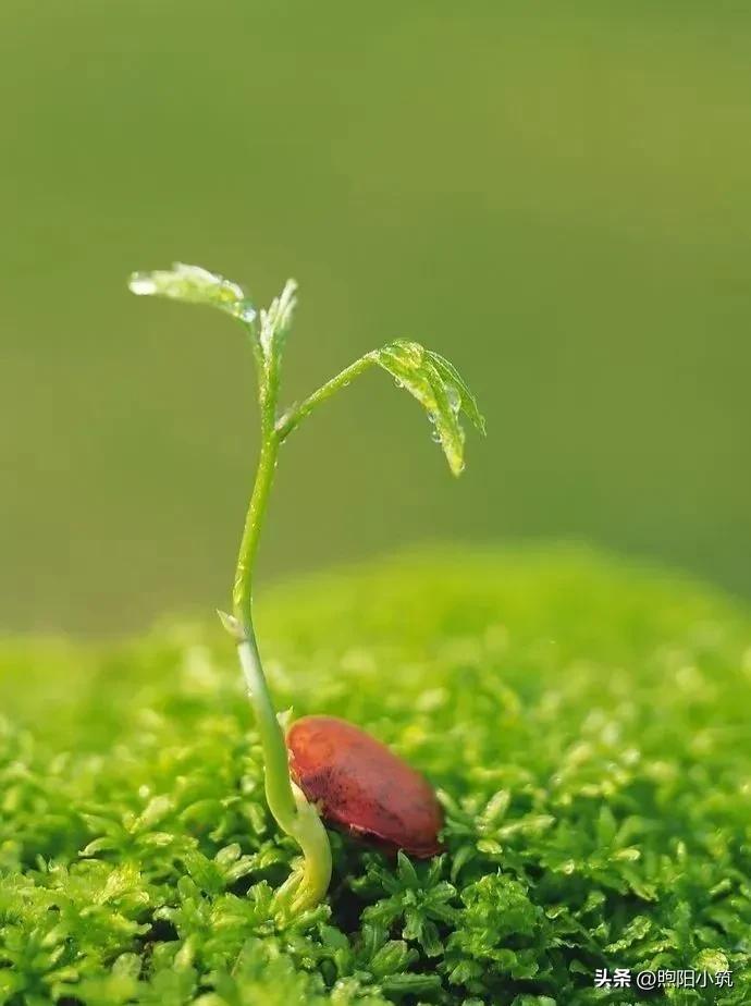 32岁沉迷网游8年,30岁了沉迷网络游戏