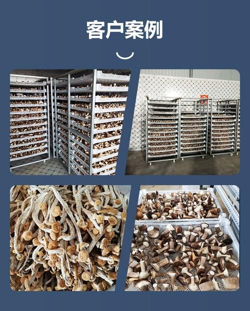 小型家用蘑菇烘干机价格,大型蘑菇烘干机