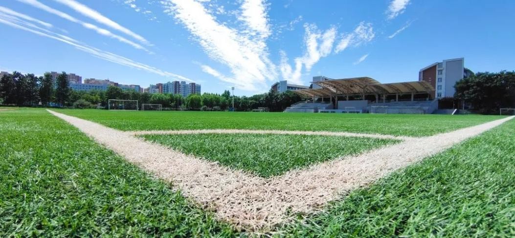 树育人典范，亮科技利刃！这，就是体育强国建设中的“北理*力工**量”