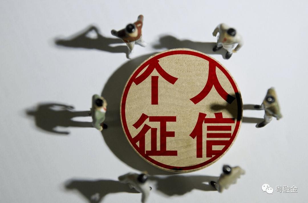 个人征信简版能看清楚所有东西吗,小白都秒懂的征信问题