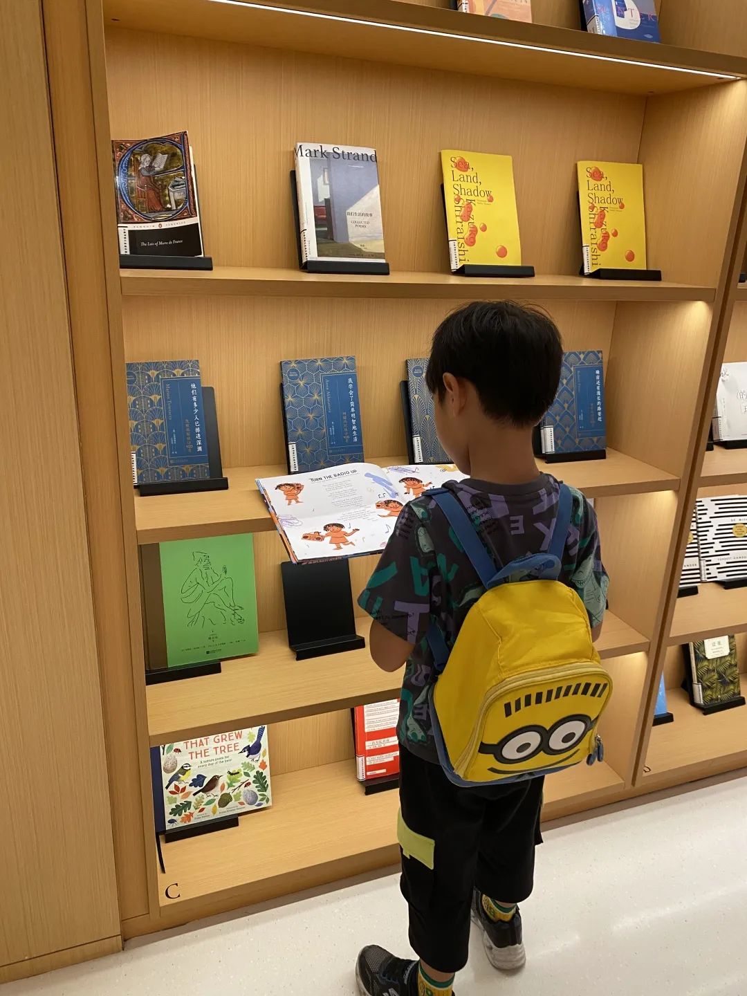 灏忓竷鎽勫奖鍥㈤槦,灏忓竷鎽勫奖