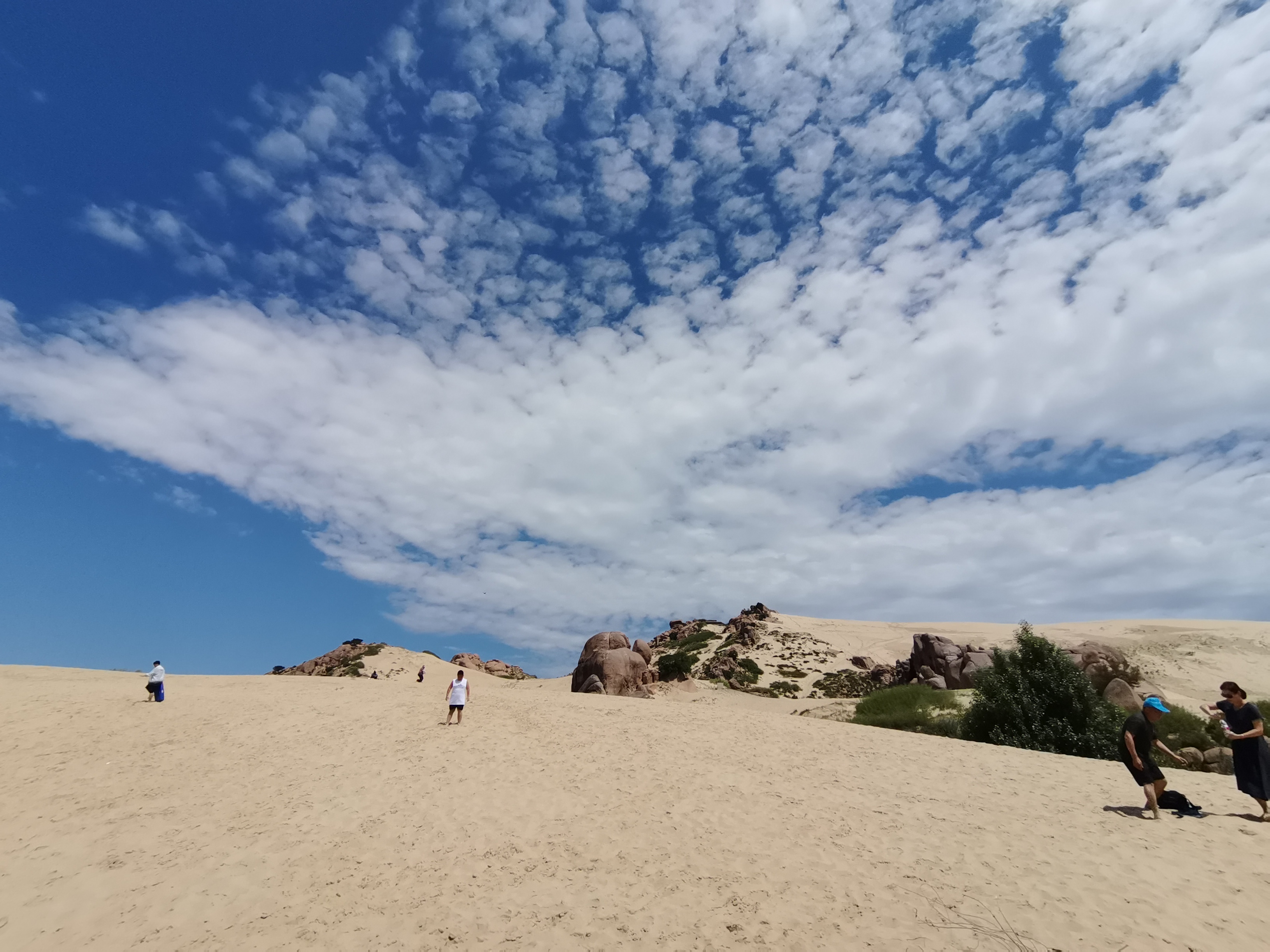 抓住暑假的尾巴去浪,抓住暑假的尾巴去兜风