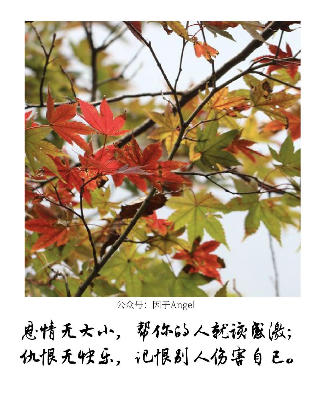 植物之36技——热