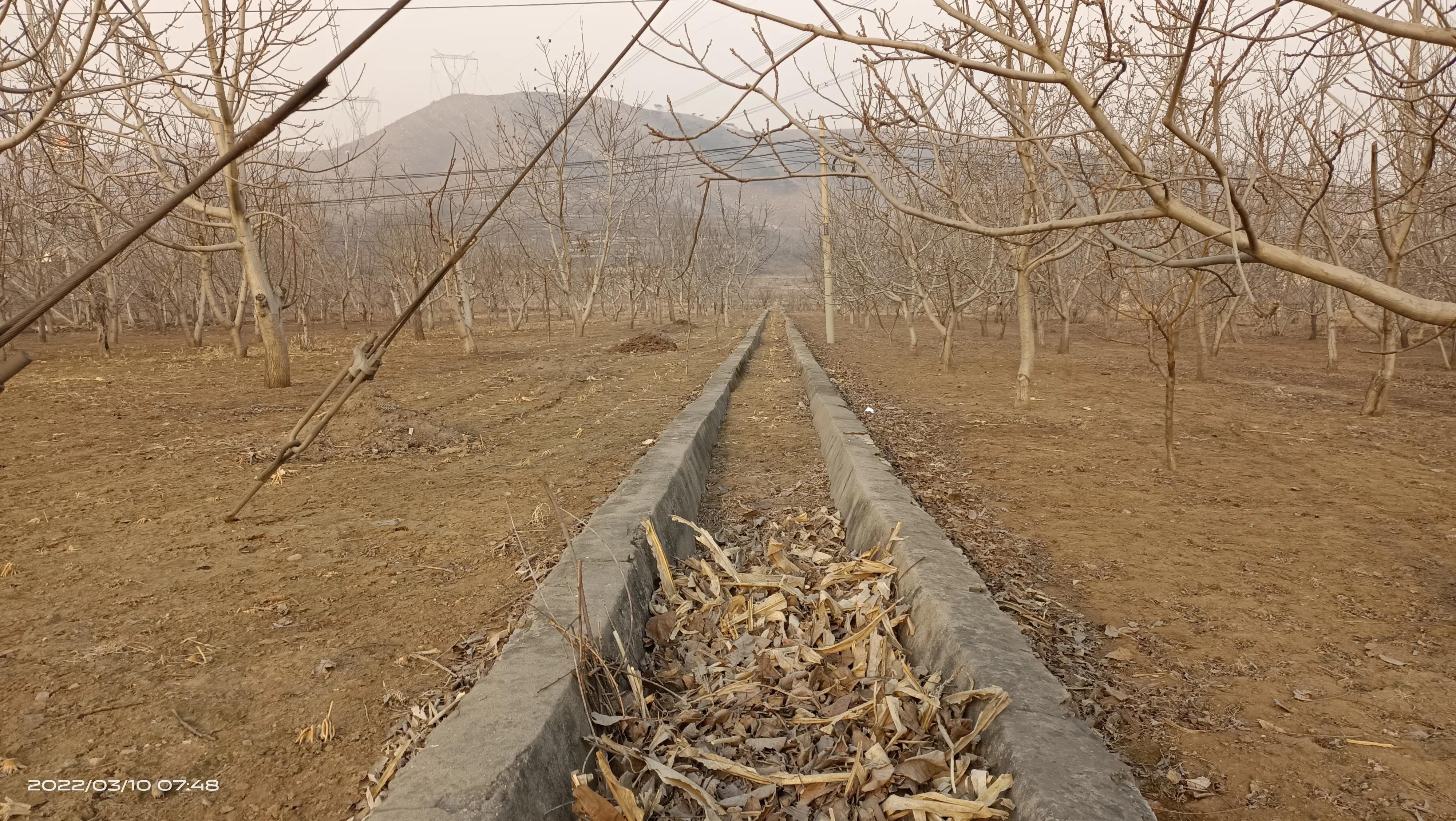 丰润区白各庄遗址,白各庄遗址