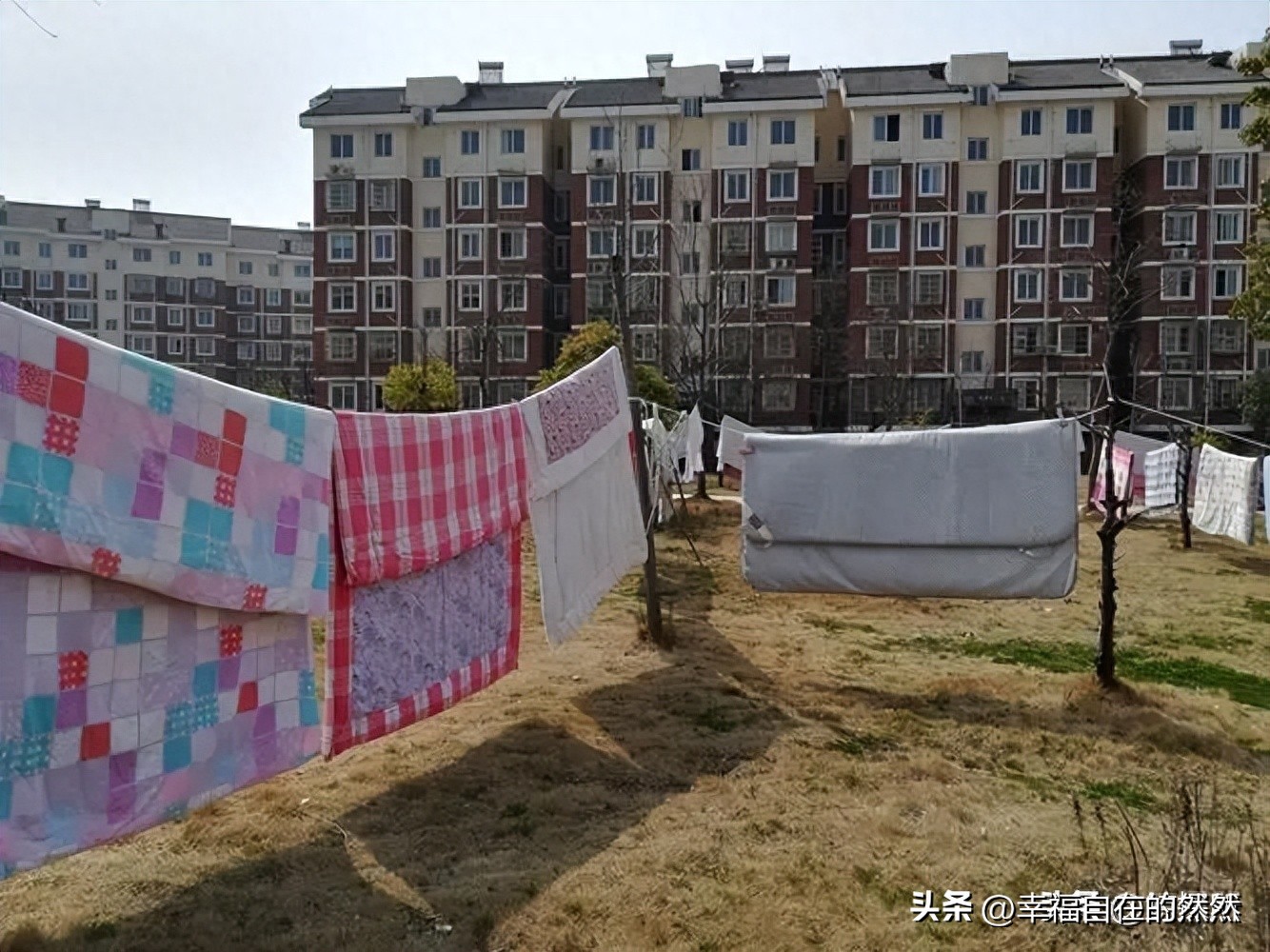 羽绒被太阳晒能杀菌吗,羽绒被洗后晒干有黄渍