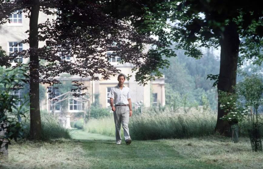 威廉继承荷兰王位,威廉继承遗产