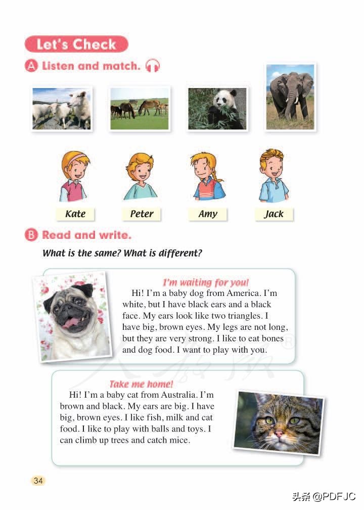 统编人教部编版小学英语5年级上册学期电子版教材课本分享