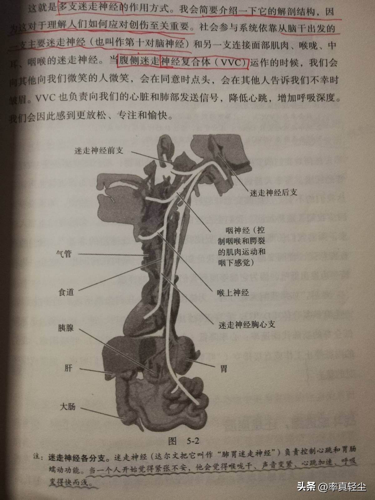 怎样快速解除关机状态,关机时怎样跳过强制关机