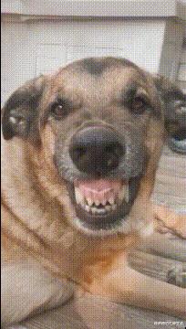 这么多年一直不明白，这键盘到底有什么用？